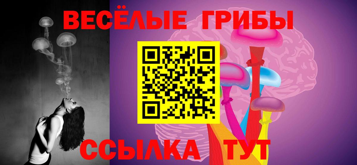 Туапсе  Псилоцибиновые грибы мухоморы  Вход с VPN 